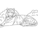 Raskrasil.com-Tiger-Coloring-Pages-98