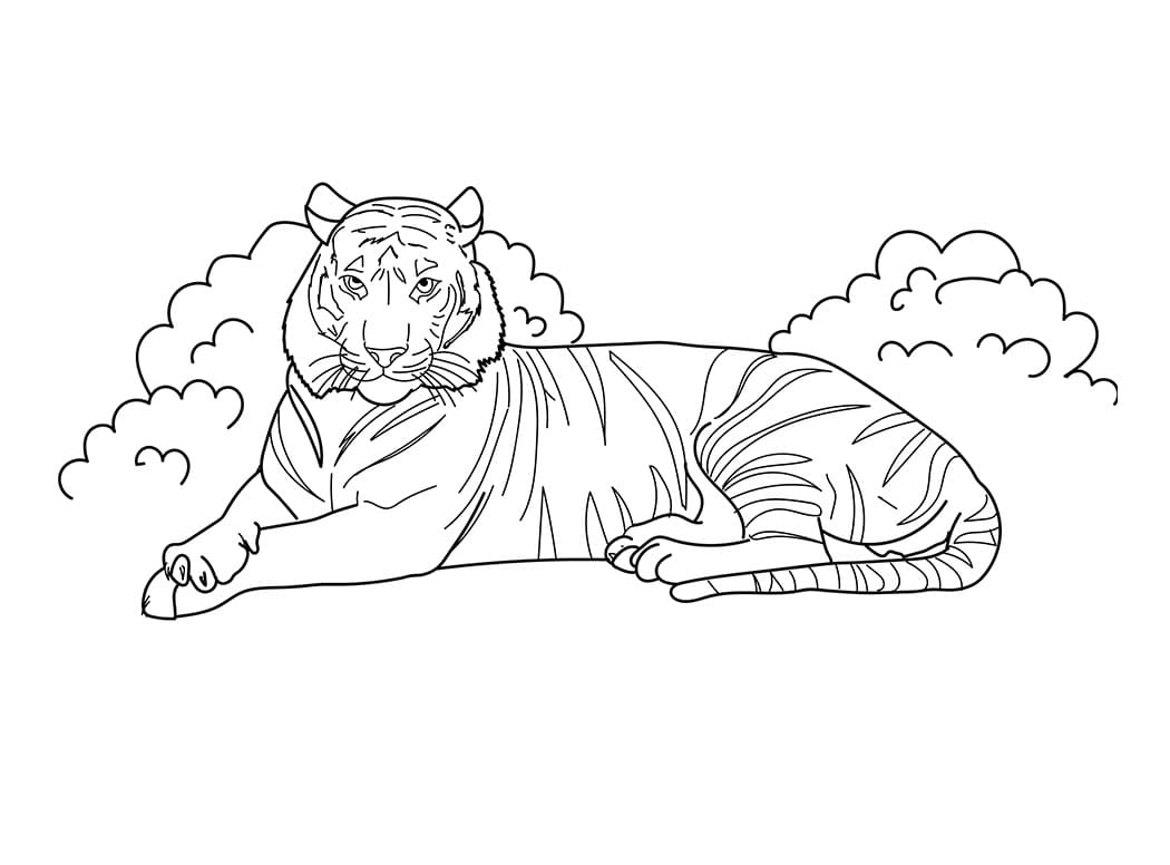 Raskrasil.com-Tiger-Coloring-Pages-98