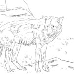 Raskrail.com-Wolf-Coloring-Pages-10