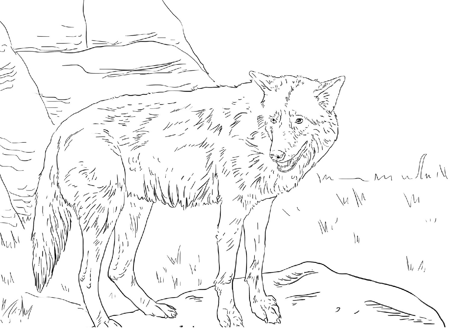 Raskrail.com-Wolf-Coloring-Pages-10