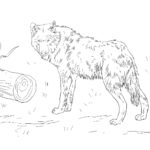 Raskrail.com-Wolf-Coloring-Pages-14