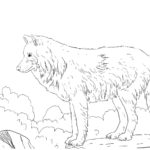 Previous Attachment
