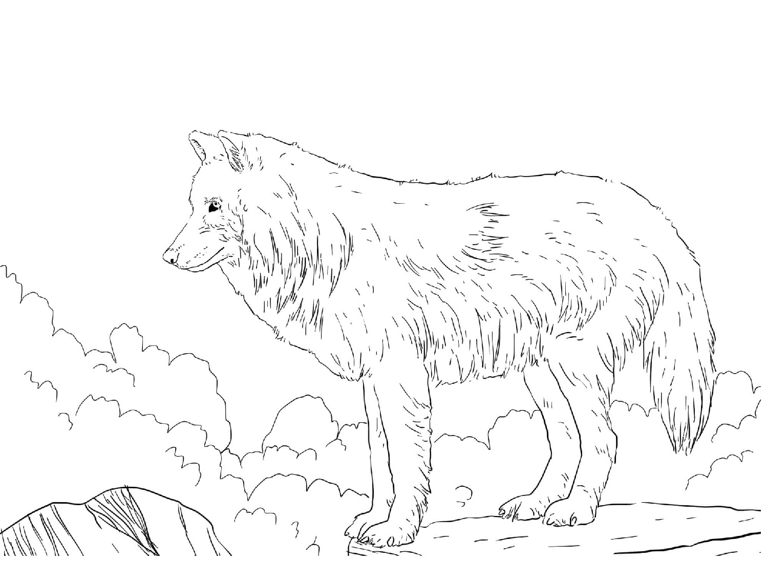 Raskrail.com-Wolf-Coloring-Pages-18