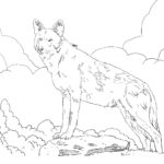 Raskrail.com-Wolf-Coloring-Pages-22