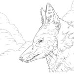 Raskrail.com-Wolf-Coloring-Pages-24