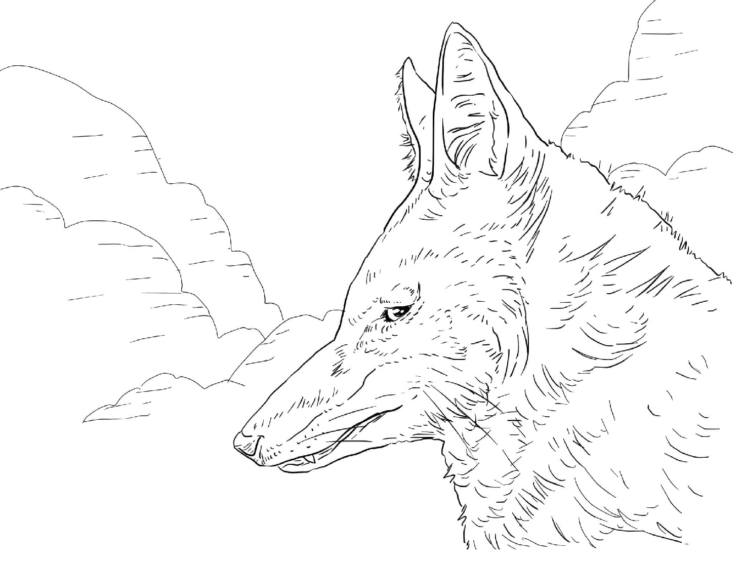Raskrail.com-Wolf-Coloring-Pages-24