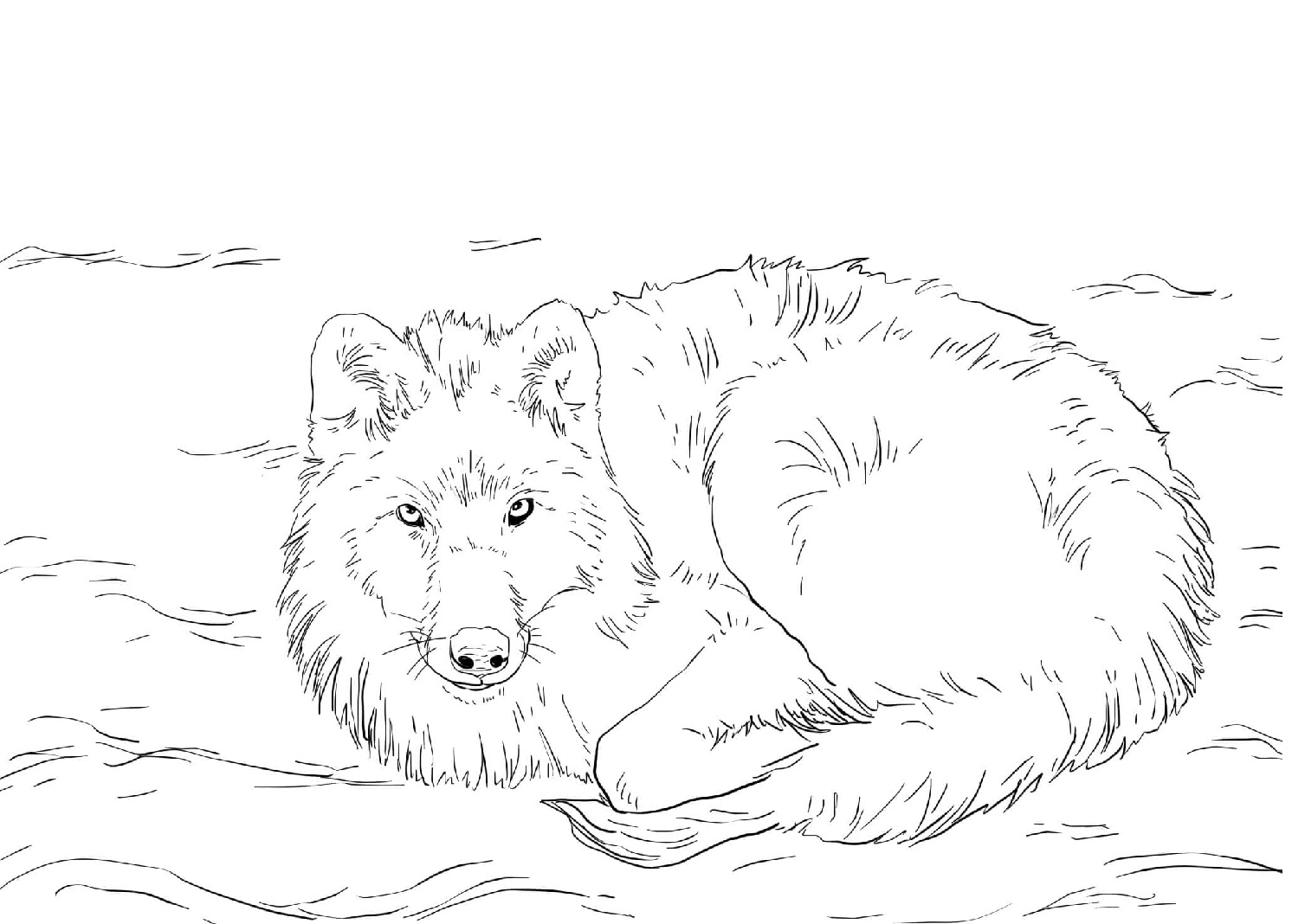 Raskrail.com-Wolf-Coloring-Pages-25
