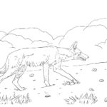 Raskrail.com-Wolf-Coloring-Pages-26