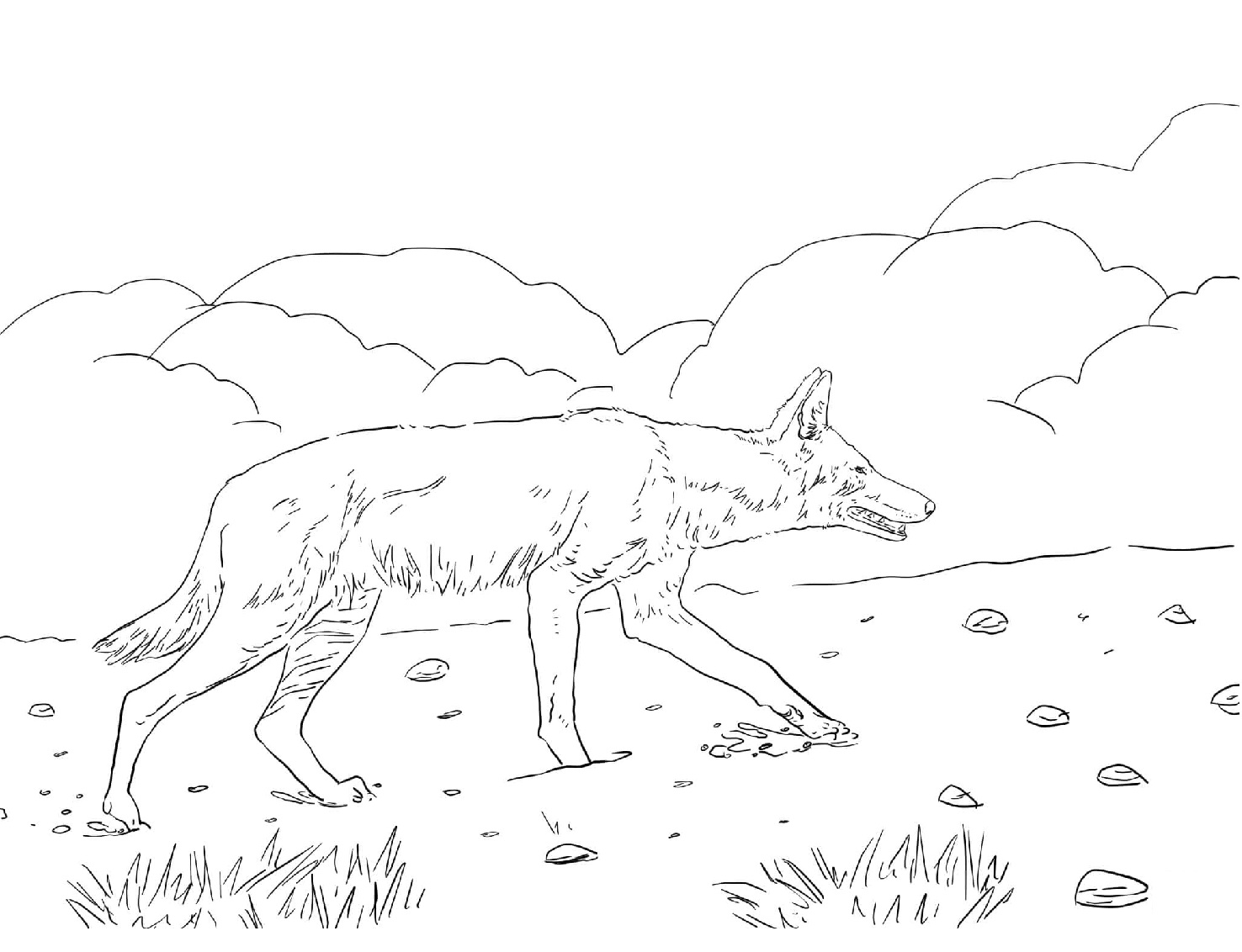 Raskrail.com-Wolf-Coloring-Pages-26