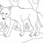 Raskrail.com-Wolf-Coloring-Pages-33