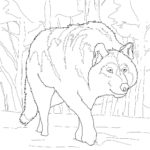 Raskrail.com-Wolf-Coloring-Pages-34