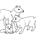 Raskrail.com-Wolf-Coloring-Pages-44