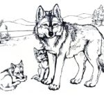 Raskrail.com-Wolf-Coloring-Pages-47