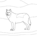 Raskrail.com-Wolf-Coloring-Pages-55