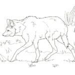 Raskrail.com-Wolf-Coloring-Pages-57