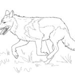 Raskrail.com-Wolf-Coloring-Pages-59