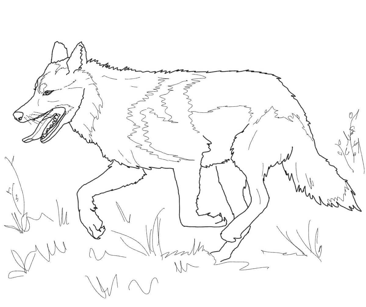 Raskrail.com-Wolf-Coloring-Pages-59