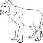 Raskrail.com-Wolf-Coloring-Pages-64