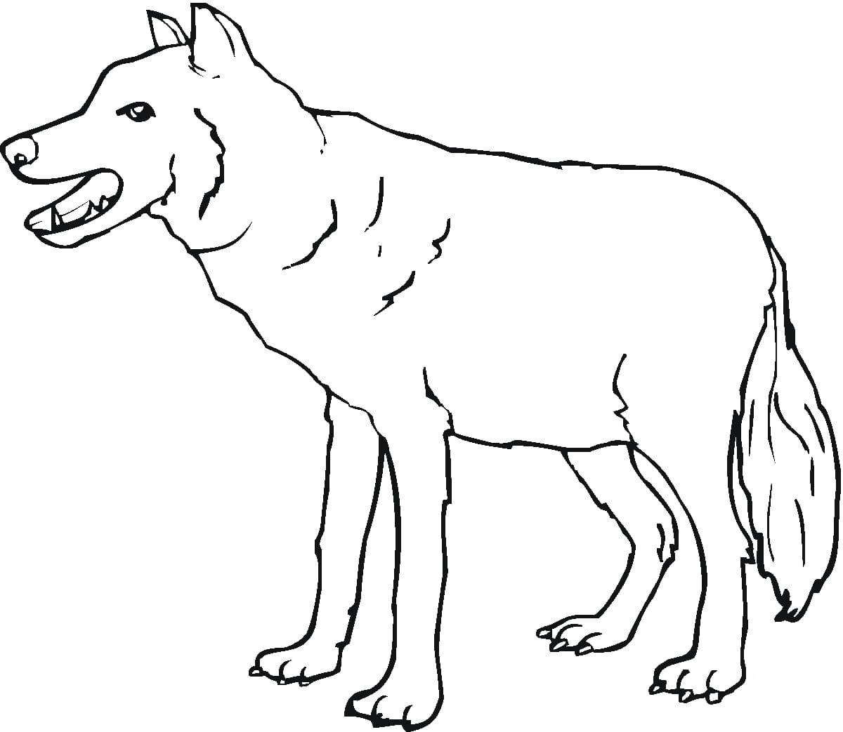 Raskrail.com-Wolf-Coloring-Pages-64