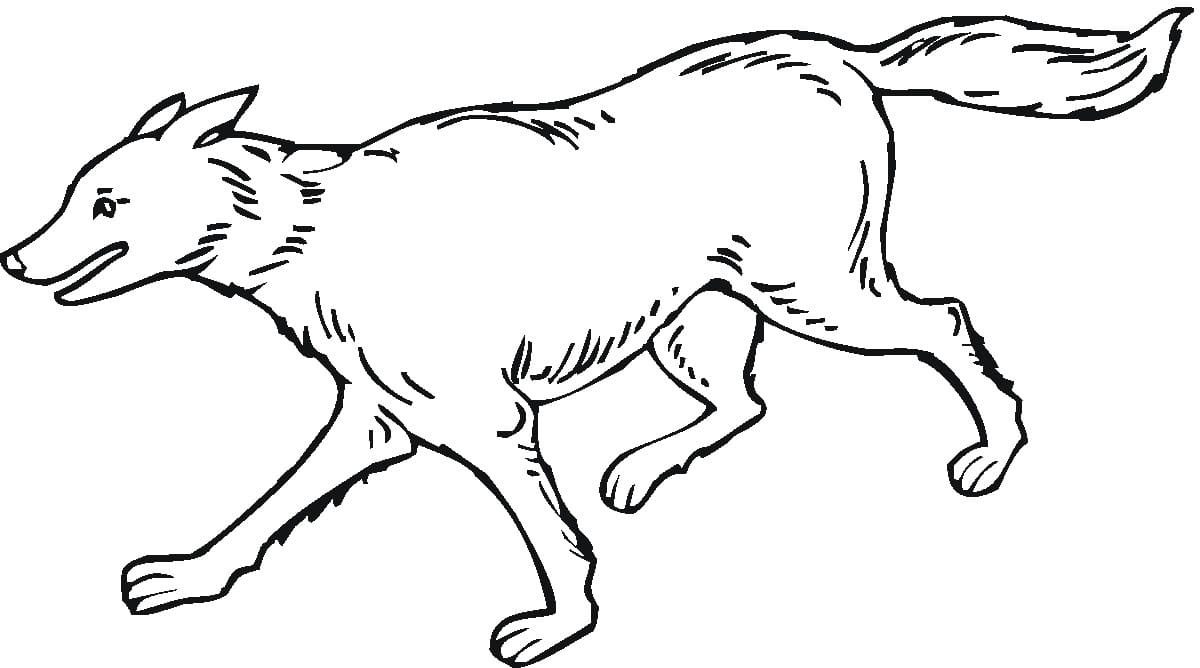 Raskrail.com-Wolf-Coloring-Pages-73