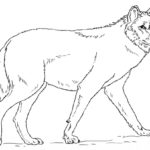 Raskrail.com-Wolf-Coloring-Pages-76