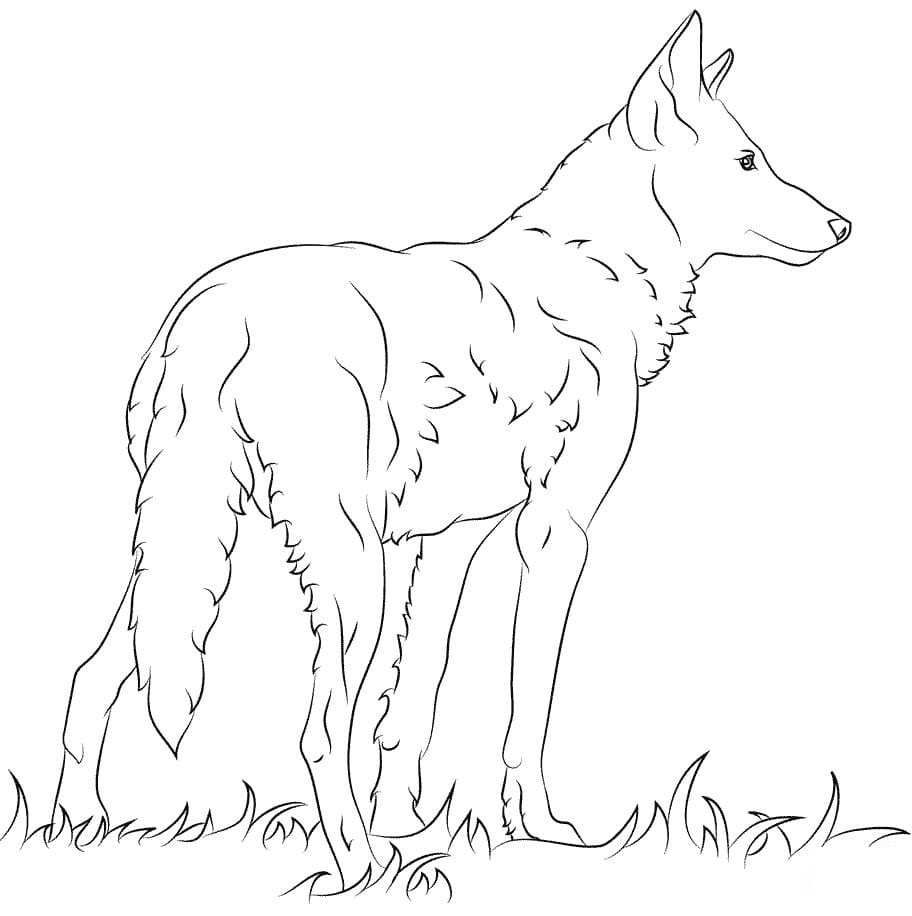 Raskrail.com-Wolf-Coloring-Pages-79