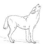 Raskrail.com-Wolf-Coloring-Pages-82
