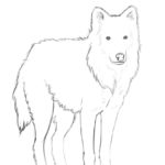 Raskrail.com-Wolf-Coloring-Pages-90