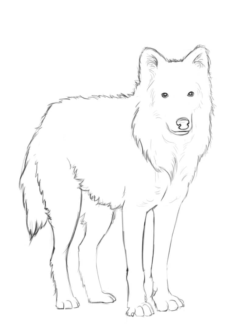 Raskrail.com-Wolf-Coloring-Pages-90