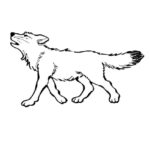 Raskrail.com-Wolf-Coloring-Pages-94