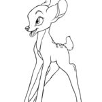 Raskrasil.com-Baby-Deer-Colorıng-Pages