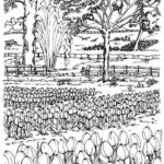 Raskrasil.com-Coloring-Pages-Gardens-105