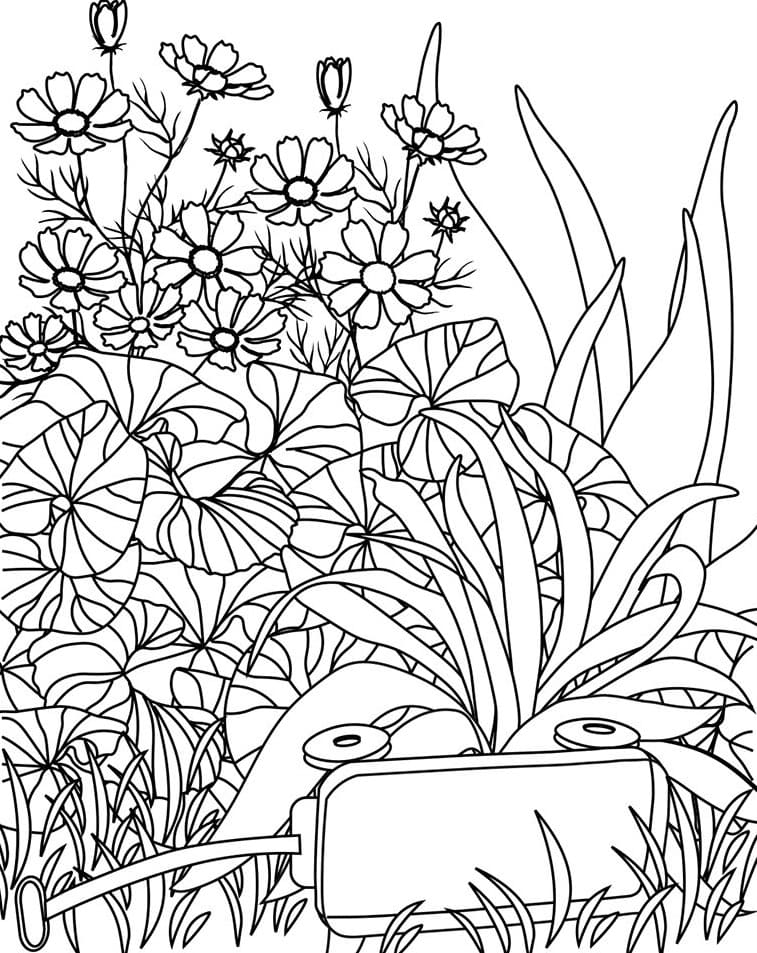 Raskrasil.com-Coloring-Pages-Gardens-16