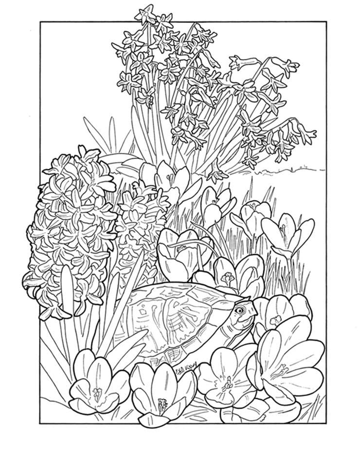 Raskrasil.com-Coloring-Pages-Gardens-56