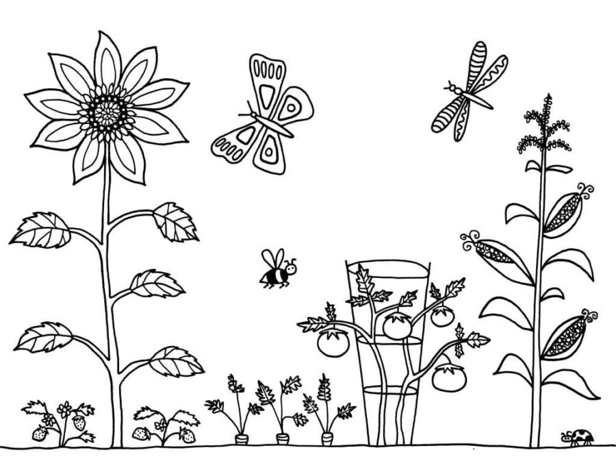 Dibujos de Jardines para Colorear