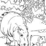 Raskrasil.com-Coloring-Pages-Hippo-106
