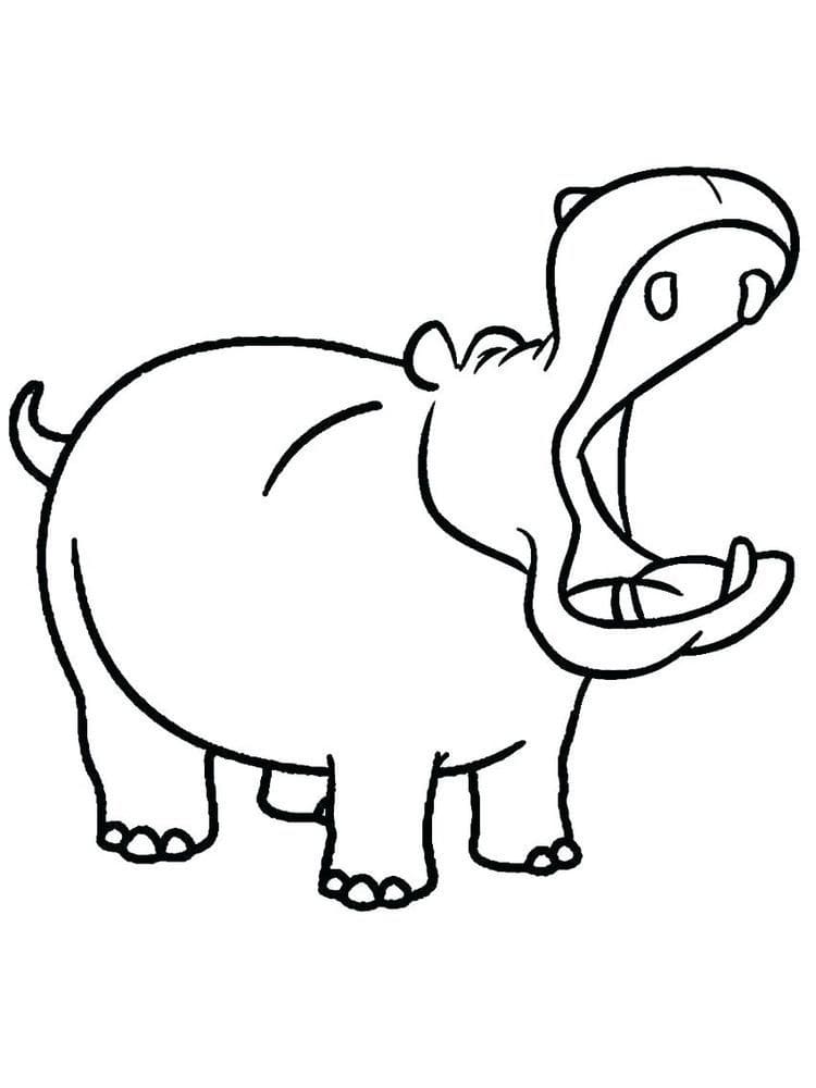 Raskrasil.com-Coloring-Pages-Hippo-16