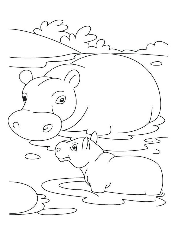 Raskrasil.com-Coloring-Pages-Hippo-2