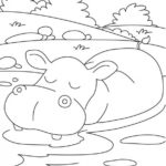 Raskrasil.com-Coloring-Pages-Hippo-21