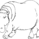 Raskrasil.com-Coloring-Pages-Hippo-24