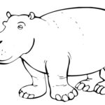 Raskrasil.com-Coloring-Pages-Hippo-26