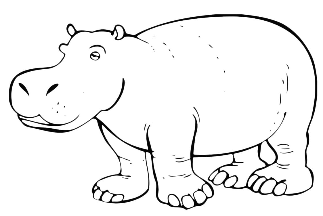 Raskrasil.com-Coloring-Pages-Hippo-26