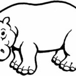 Raskrasil.com-Coloring-Pages-Hippo-29