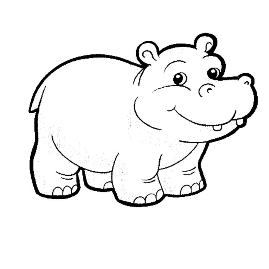 Raskrasil.com-Coloring-Pages-Hippo-3