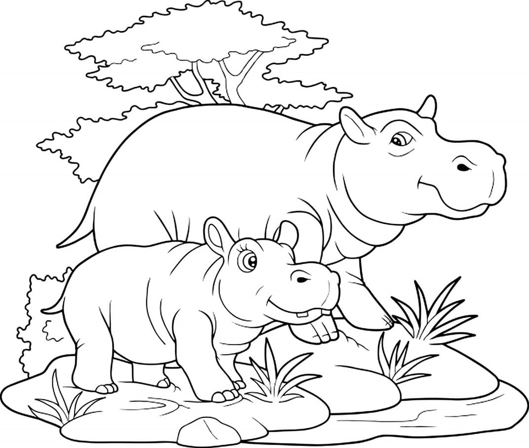 Raskrasil.com-Coloring-Pages-Hippo-33