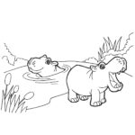 Raskrasil.com-Coloring-Pages-Hippo-37