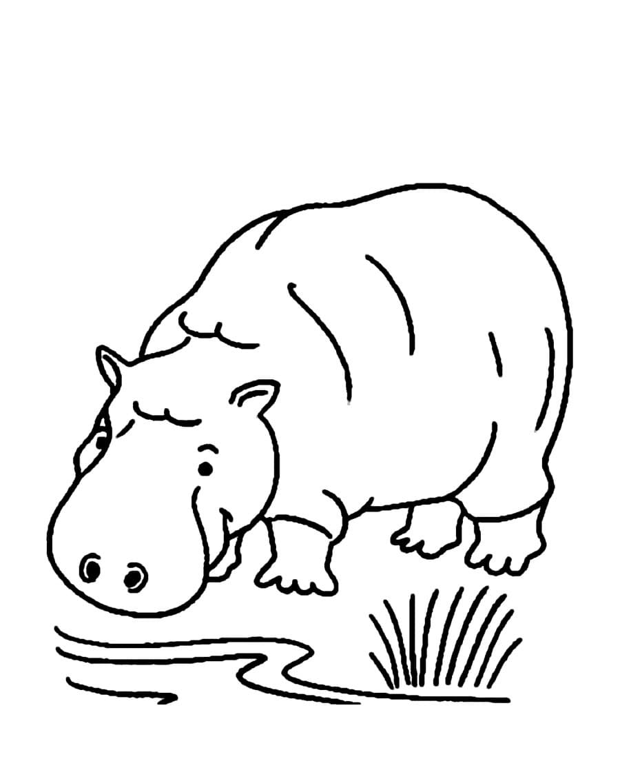 Raskrasil.com-Coloring-Pages-Hippo-54