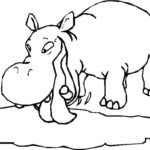 Raskrasil.com-Coloring-Pages-Hippo-55