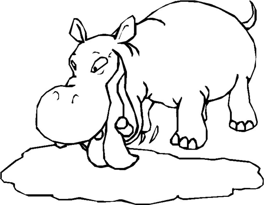 Raskrasil.com-Coloring-Pages-Hippo-55