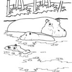 Raskrasil.com-Coloring-Pages-Hippo-58